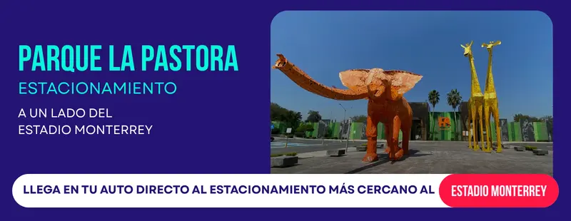 PARKIT_SLIDER_LA PASTORA_OP2_5_c